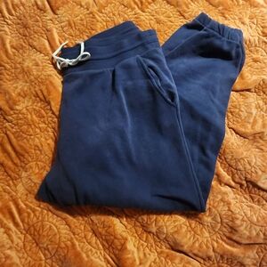 Wild Fable Blue Sweatpant Joggers
